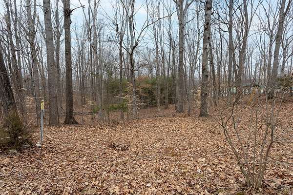 Residential Land for Sale in Buffalo Junction, Virginia