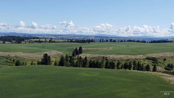120 Acres of Land for Sale in Nezperce, Idaho