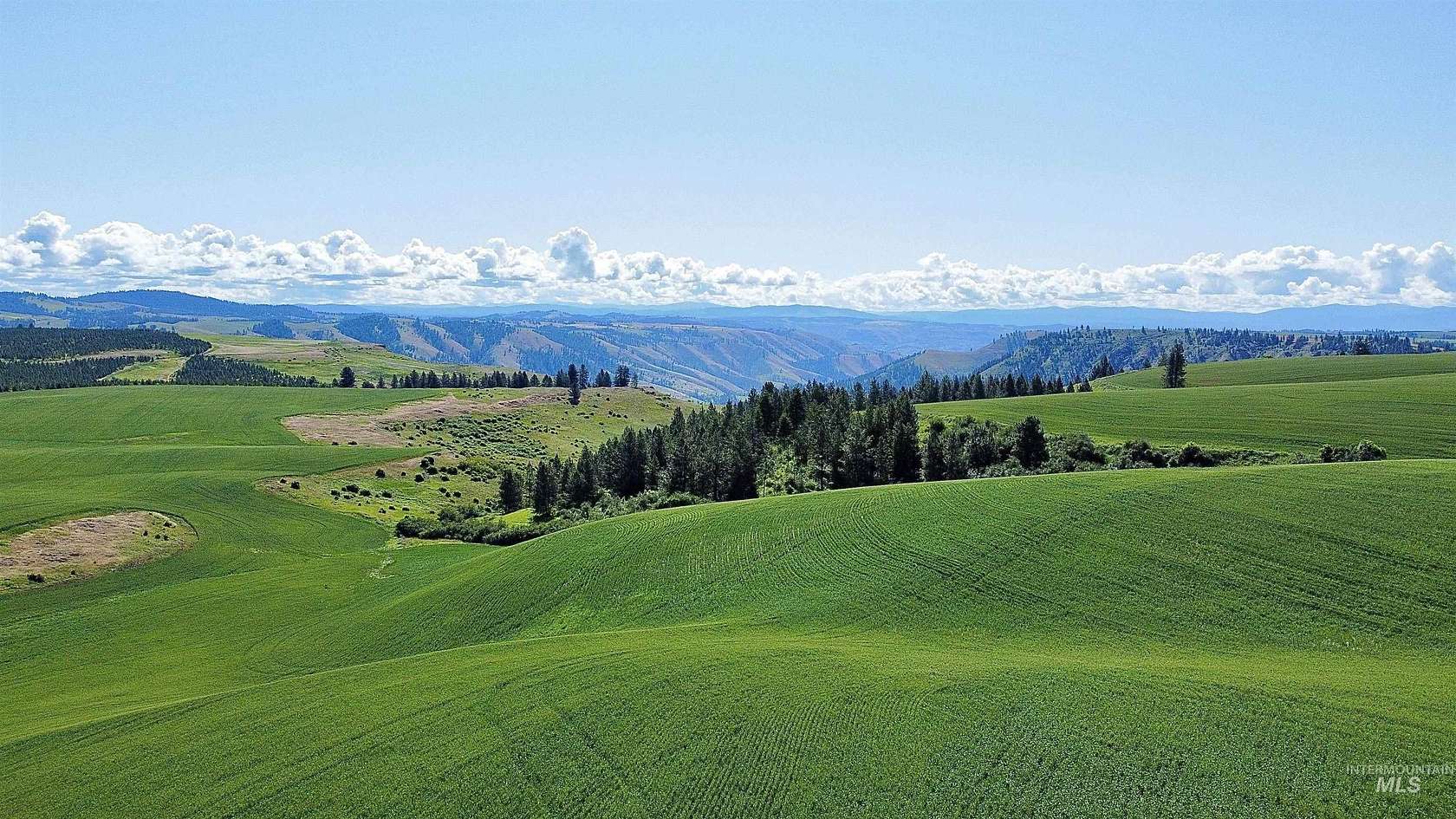 272 Acres of Land for Sale in Nezperce, Idaho