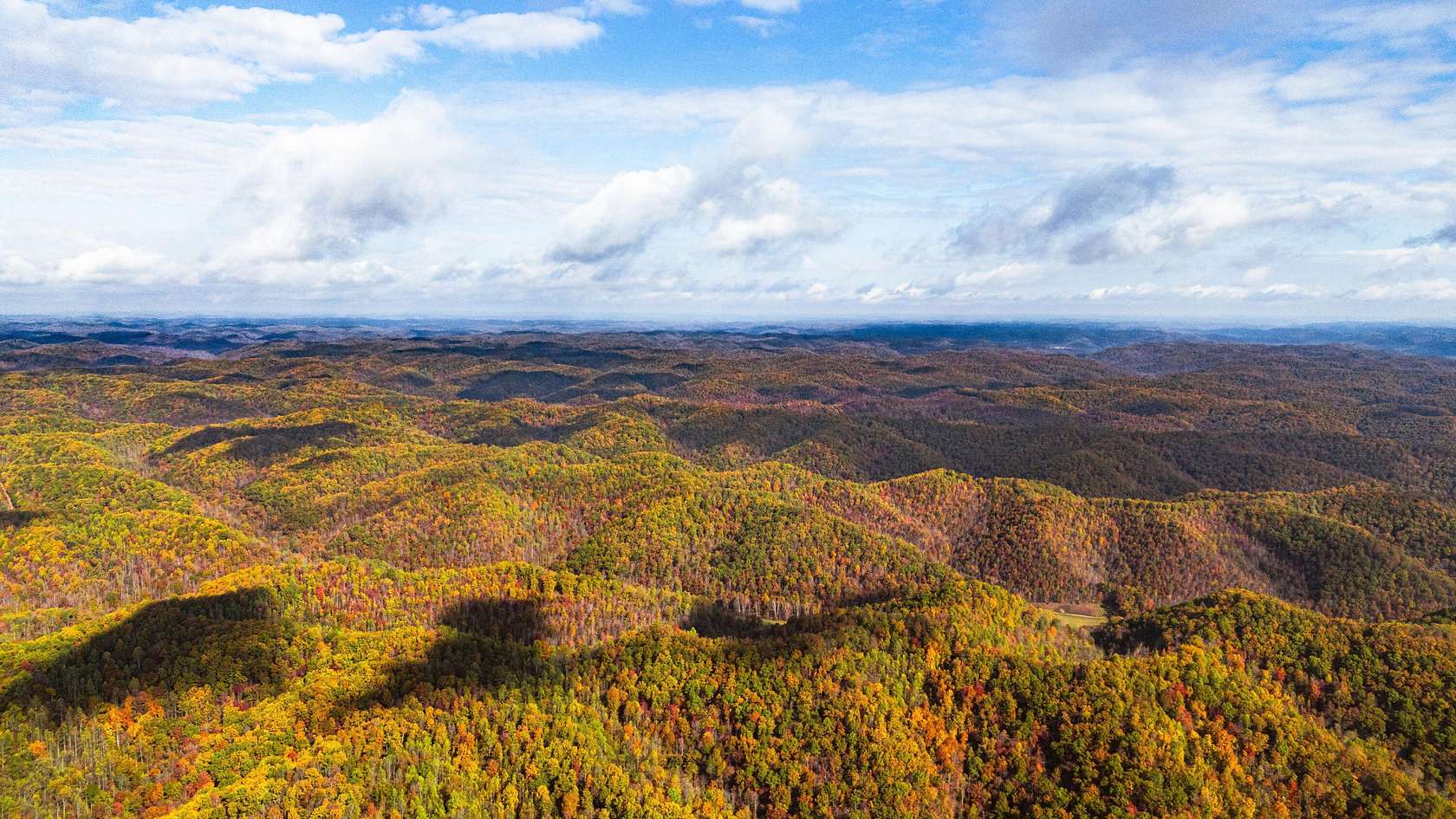 55 Acres of Recreational Land for Sale in Vanceburg, Kentucky