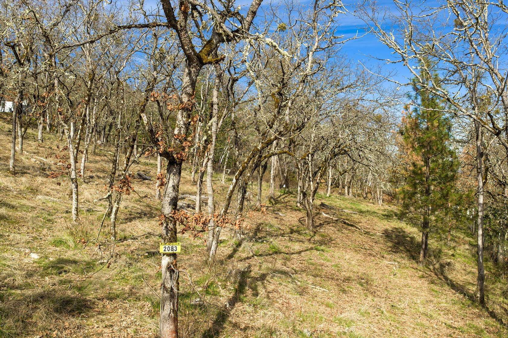 1.3 Acres of Land for Sale in Medford, Oregon
