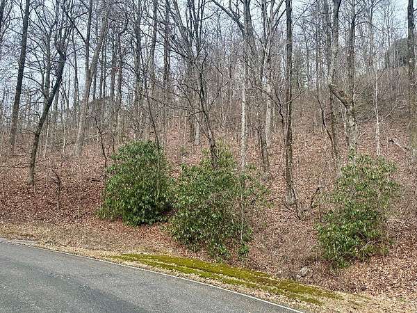 1.1 Acres of Residential Land for Sale in Landrum, South Carolina