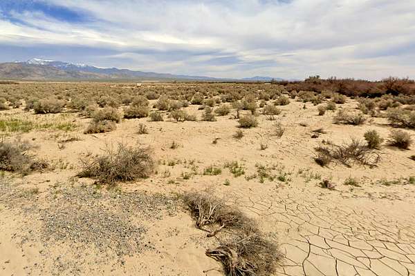 0.25 Acres of Residential Land for Sale in Pahrump, Nevada