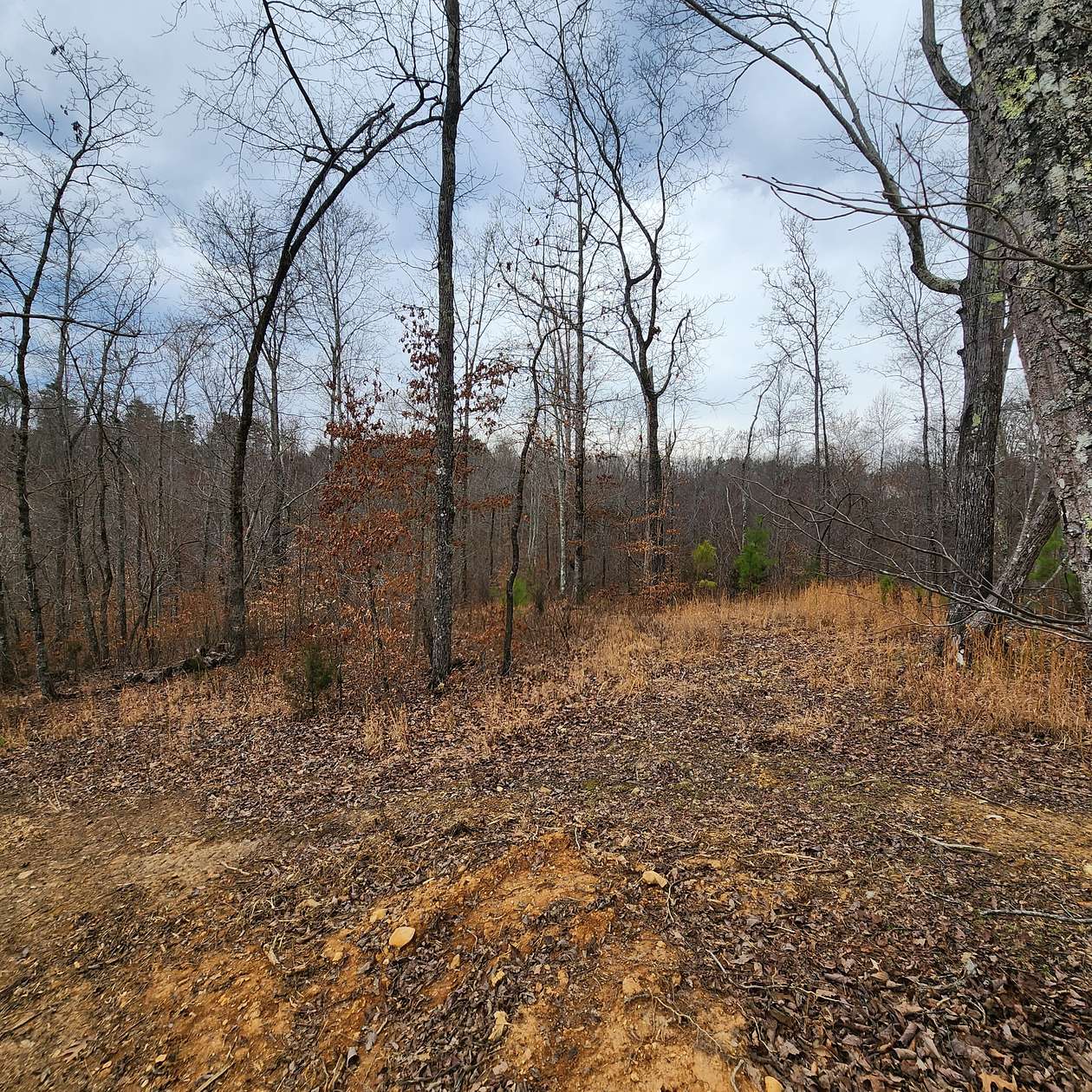 10.1 Acres of Recreational & Residential Land for Sale in Sparta, Tennessee