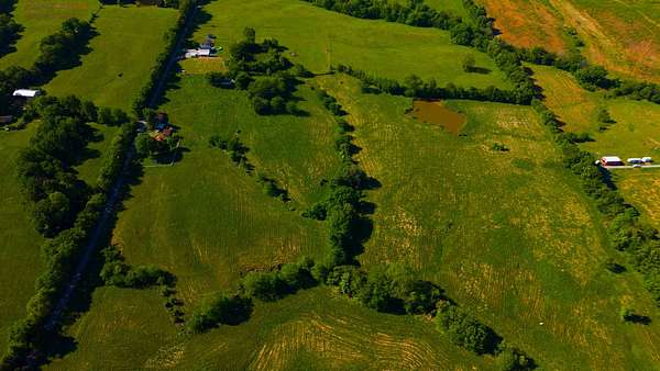 45 Acres of Land for Sale in Golconda, Illinois