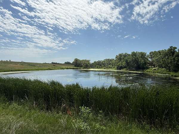 159 Acres of Land for Sale in Lynch, Nebraska