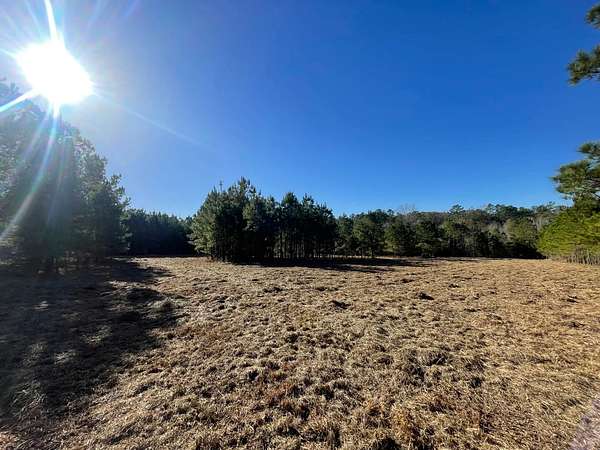 6.64 Acres of Land for Sale in Camden, Texas