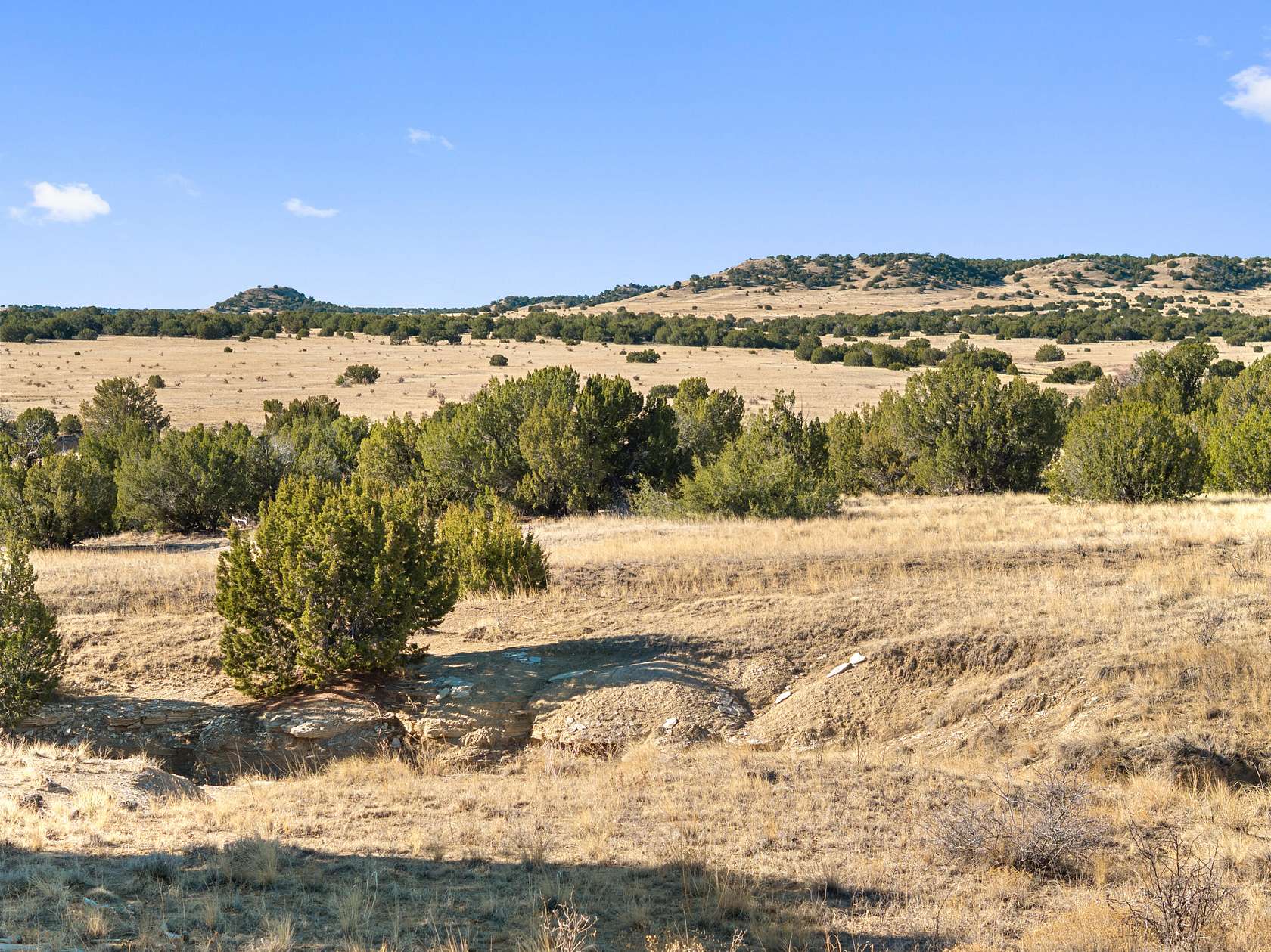 36 Acres of Land for Sale in Model, Colorado