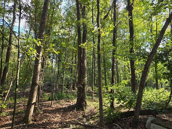1 Acre of Land for Sale in Beech Island, South Carolina