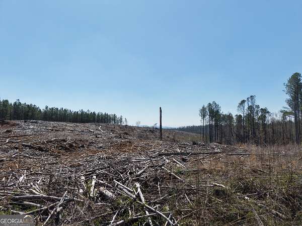 26 Acres of Recreational Land for Sale in Fairmount, Georgia