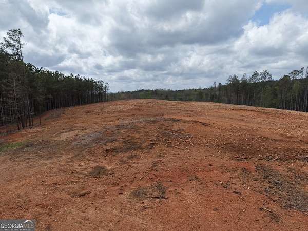 26 Acres of Recreational Land for Sale in Fairmount, Georgia