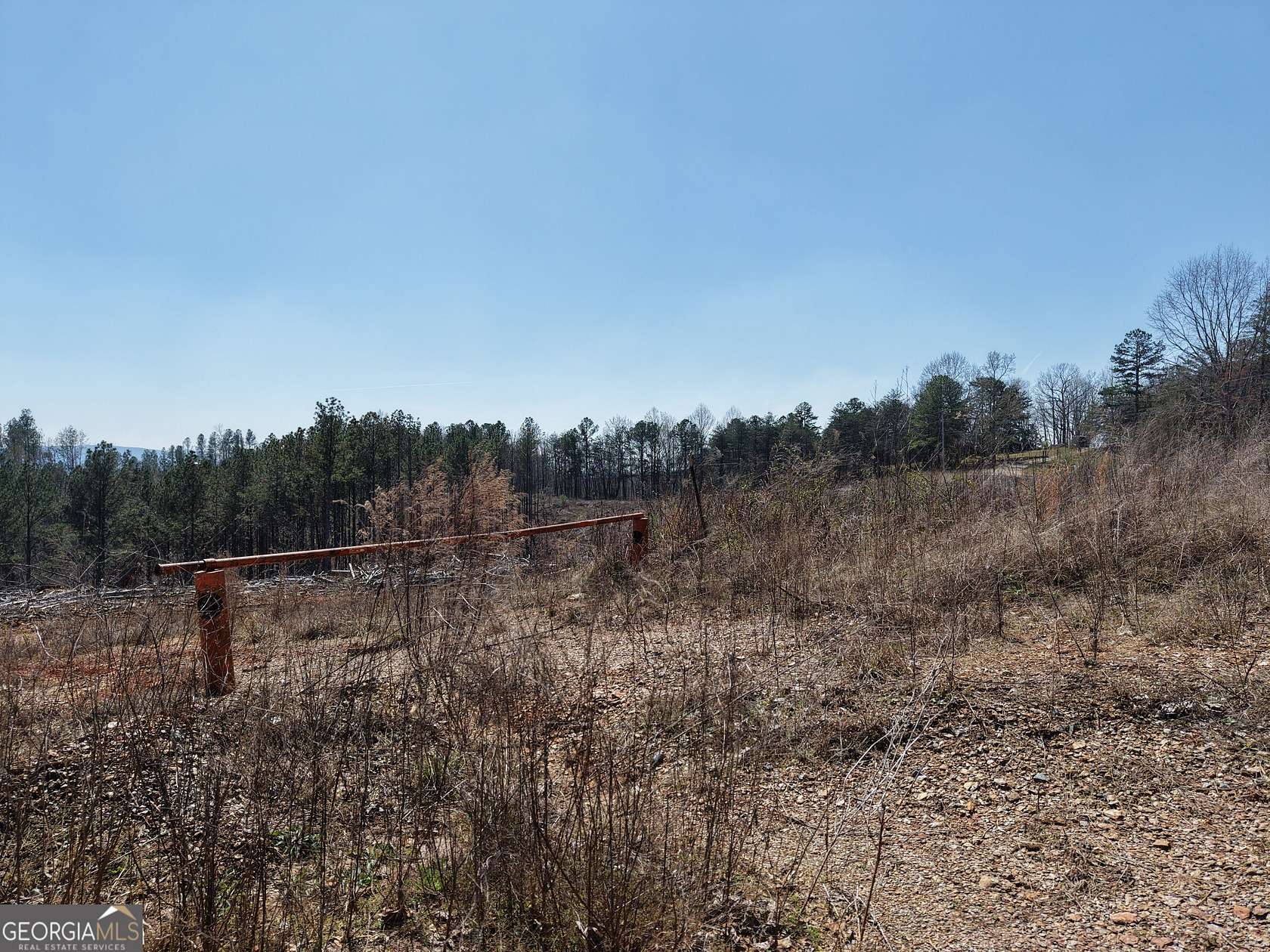 37 Acres of Recreational Land for Sale in Fairmount, Georgia
