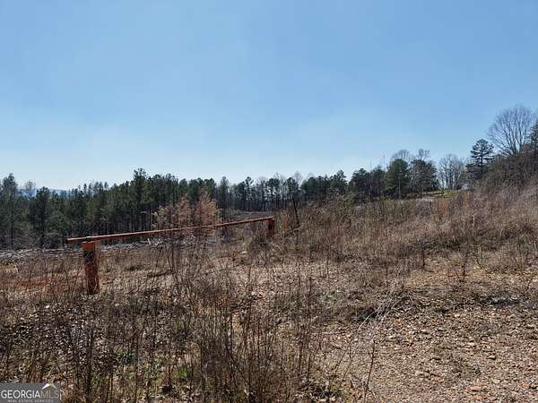 37 Acres of Recreational Land for Sale in Fairmount, Georgia