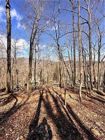 2.4 Acres of Residential Land for Sale in Jasper, Georgia