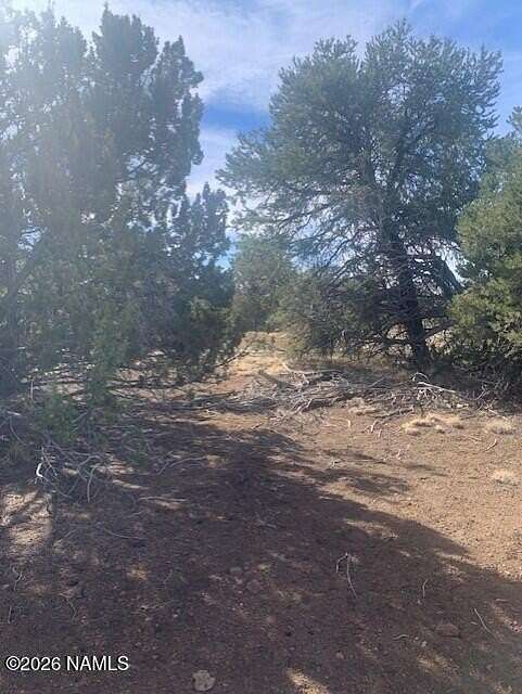 1 Acre of Residential Land for Sale in Williams, Arizona