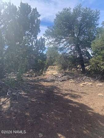 1 Acre of Residential Land for Sale in Williams, Arizona