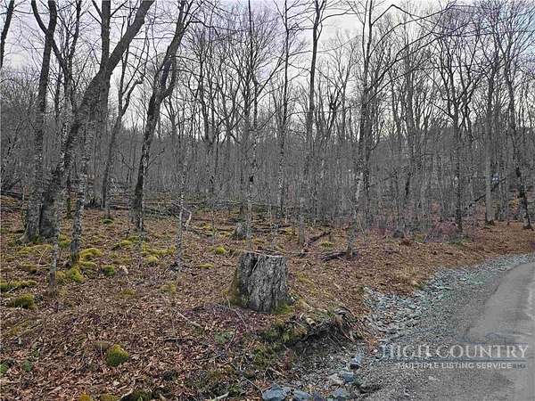0.68 Acres of Residential Land for Sale in Sugar Mountain, North Carolina