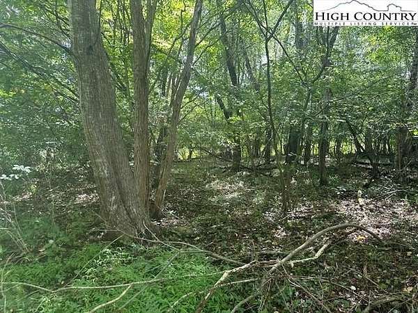 1 Acre of Residential Land for Sale in Lansing, North Carolina