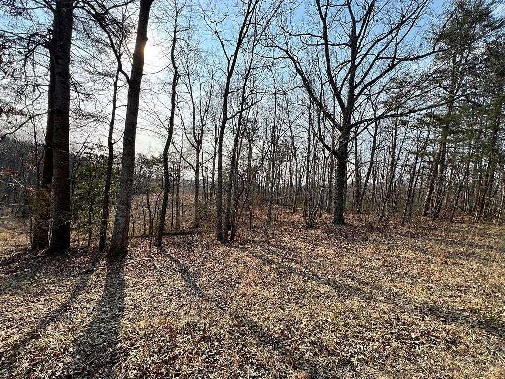 3 Acres of Residential Land for Sale in Monterey, Tennessee