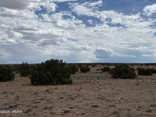 40.3 Acres of Recreational & Residential Land for Sale in St. Johns, Arizona