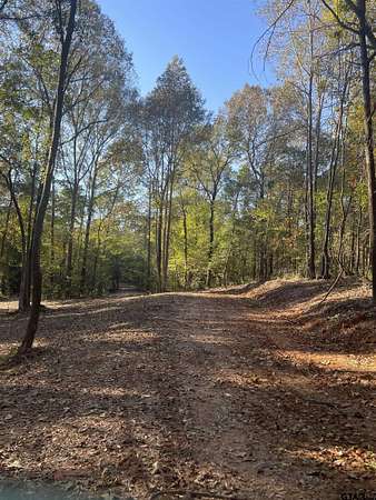 28.1 Acres of Recreational & Residential Land for Sale in Pittsburg, Texas