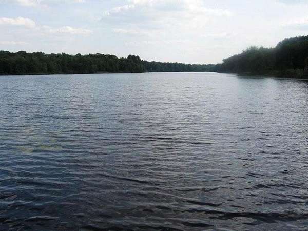 1 Acre of Residential Land for Sale in LaRue, Texas