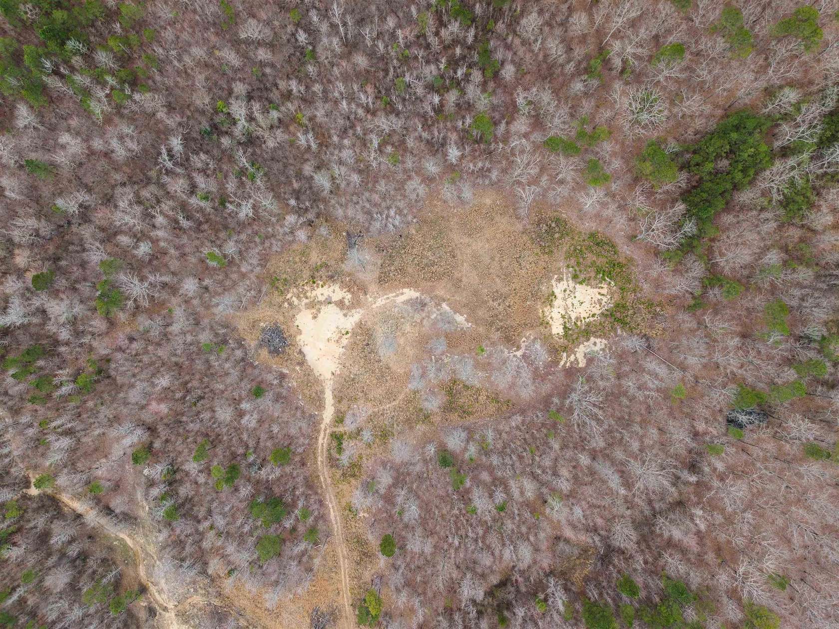 20 Acres of Agricultural & Residential Land for Sale in Alexander, Arkansas