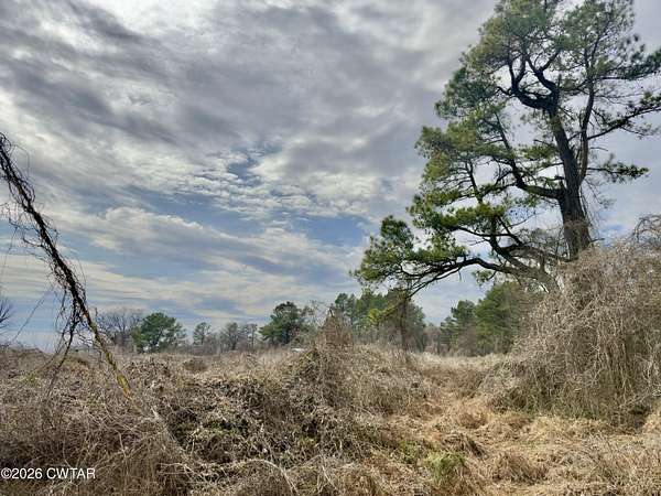 2.37 Acres of Residential Land for Sale in Denmark, Tennessee