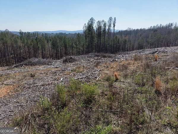 13 Acres of Recreational Land for Sale in Fairmount, Georgia