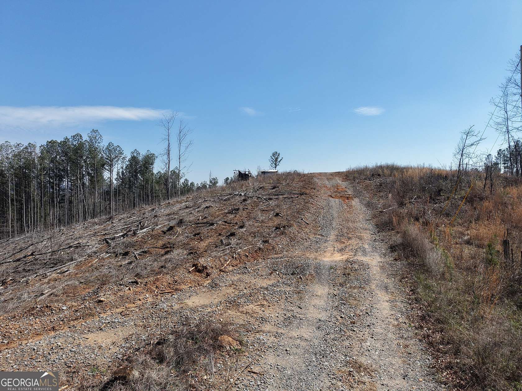 165 Acres of Recreational Land for Sale in Fairmount, Georgia