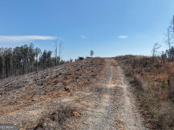 165 Acres of Recreational Land for Sale in Fairmount, Georgia