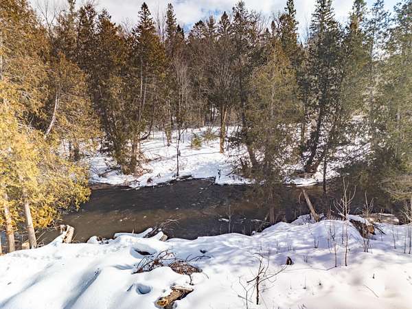 1.2 Acres of Land for Sale in Wolverine, Michigan