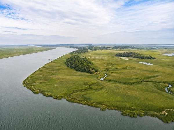 158 Acres of Recreational Land for Sale in Townsend, Georgia