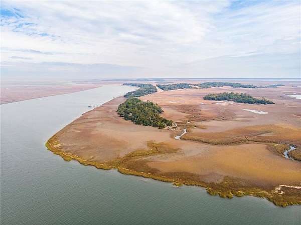 158 Acres of Recreational Land for Sale in Townsend, Georgia