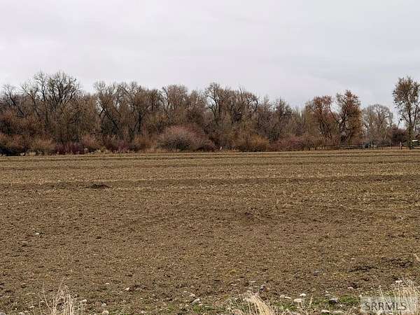 6.56 Acres of Residential Land for Sale in Rigby, Idaho