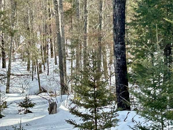 5 Acres of Land for Sale in Crandon, Wisconsin