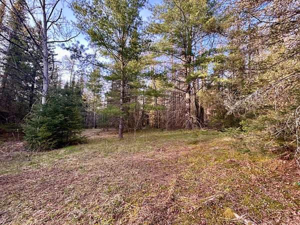 5 Acres of Residential Land for Sale in Crandon, Wisconsin