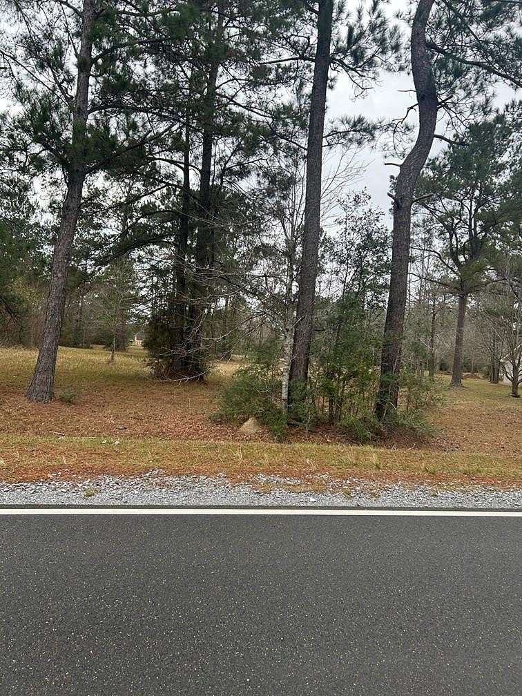 1.83 Acres of Residential Land for Sale in Carriere, Mississippi