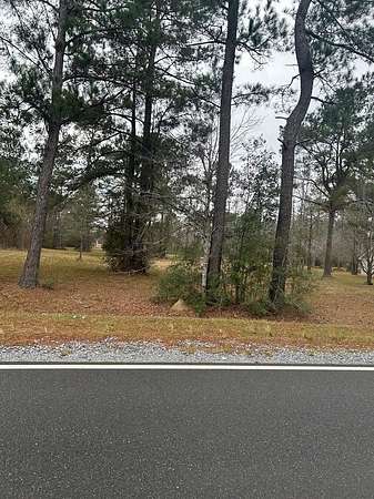 1.83 Acres of Residential Land for Sale in Carriere, Mississippi
