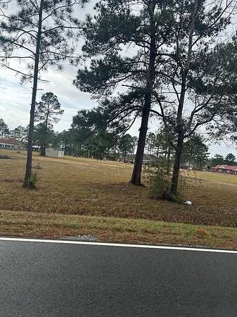 1 Acre of Residential Land for Sale in Carriere, Mississippi