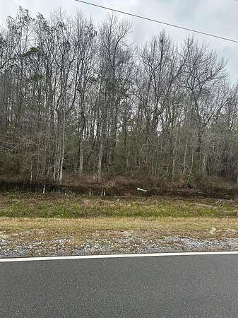 2 Acres of Residential Land for Sale in Carriere, Mississippi