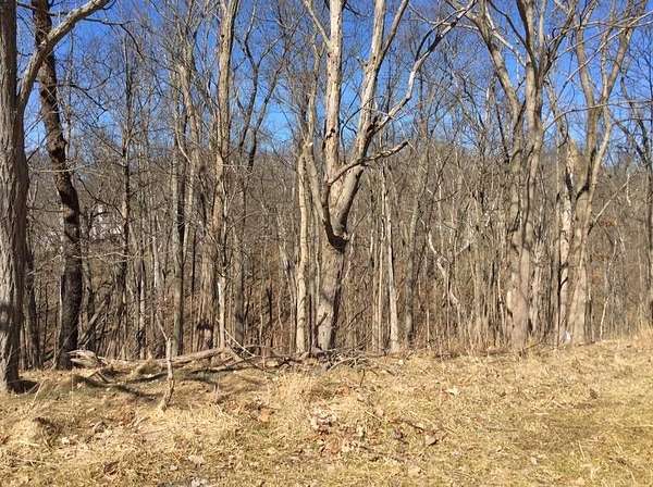 0.68 Acres of Residential Land for Sale in Lawrenceburg, Indiana