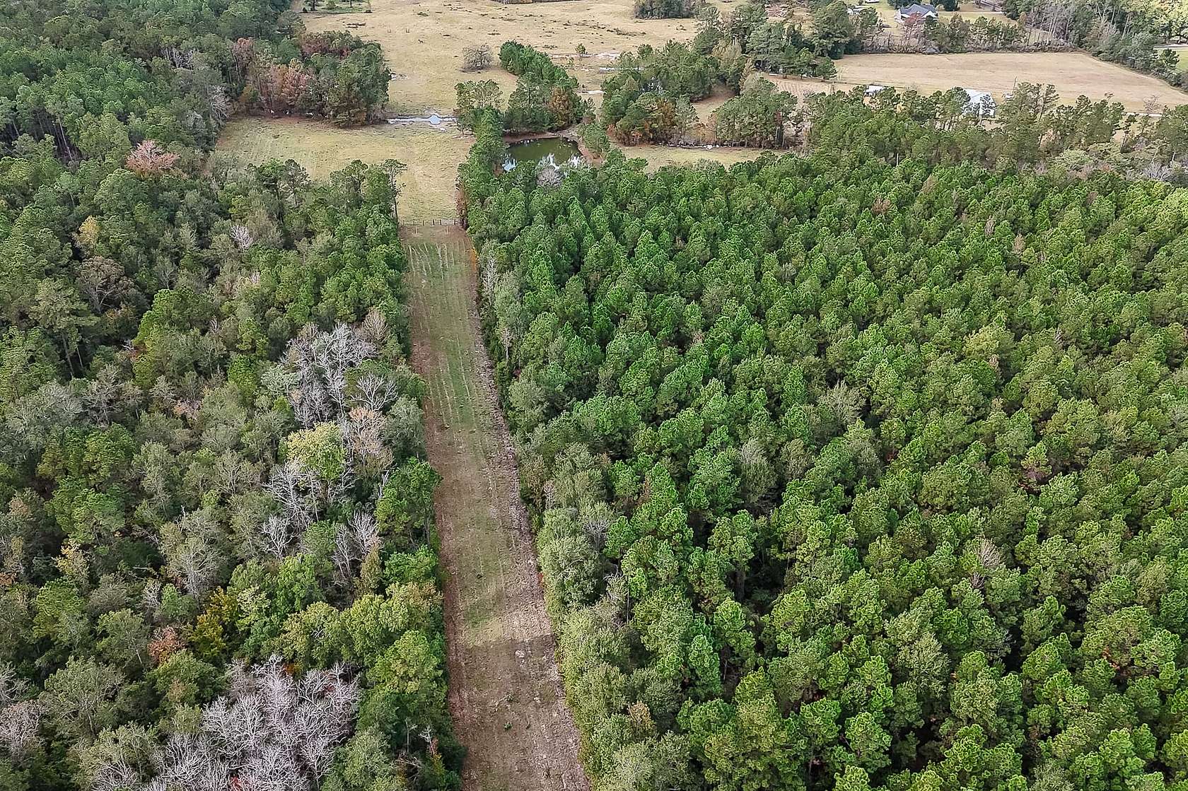 117 Acres of Recreational Land for Sale in Starks, Louisiana