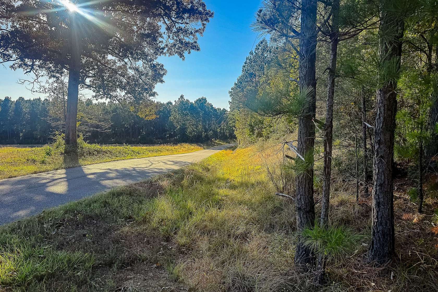 102 Acres of Recreational Land for Sale in Anacoco, Louisiana