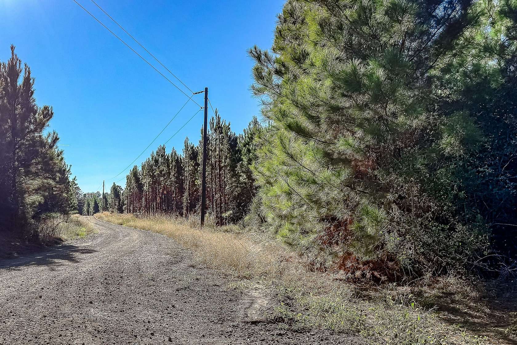 40 Acres of Recreational Land for Sale in Many, Louisiana