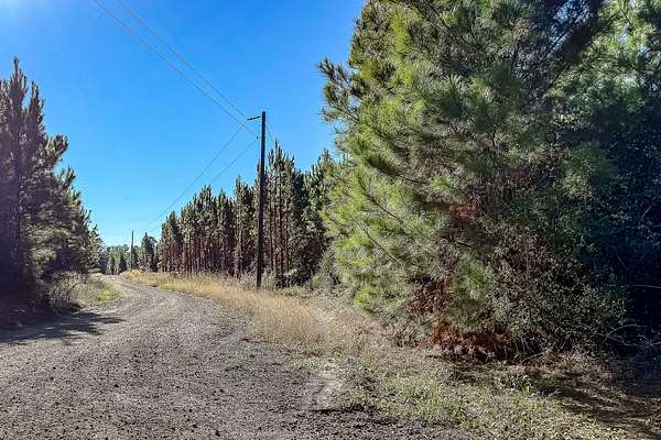 40 Acres of Recreational Land for Sale in Many, Louisiana