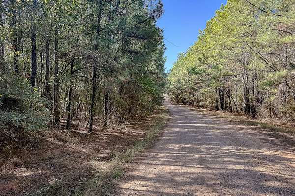 40 Acres of Recreational Land for Sale in Robeline, Louisiana