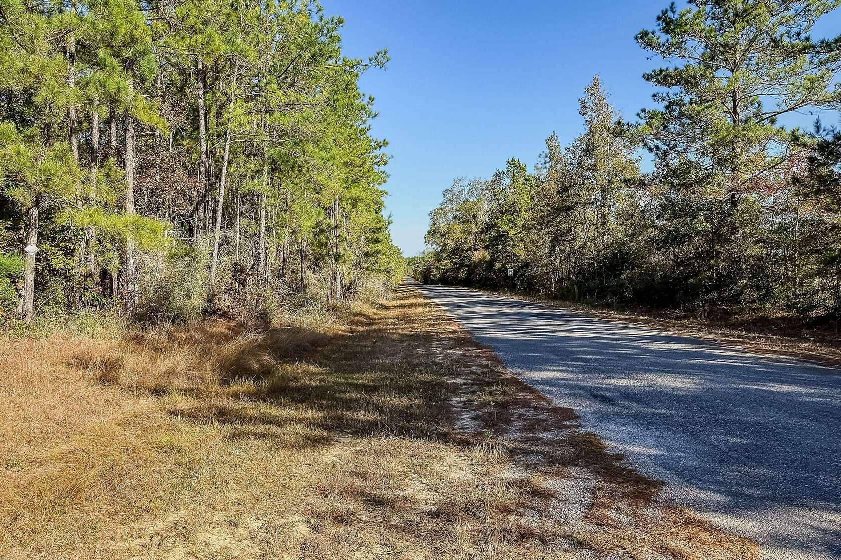 281 Acres of Recreational Land for Sale in Singer, Louisiana