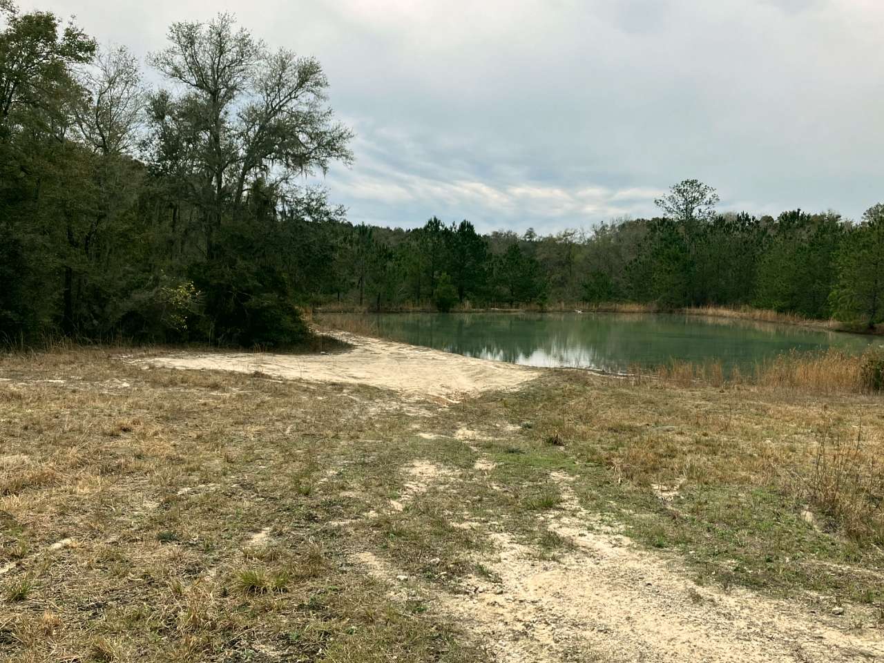 5 Acres of Land for Sale in Wellborn, Florida
