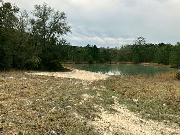 5 Acres of Land for Sale in Wellborn, Florida